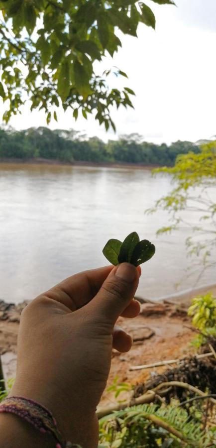 K'Erenda Homet Reserva Natural Puerto Maldonado Zewnętrze zdjęcie