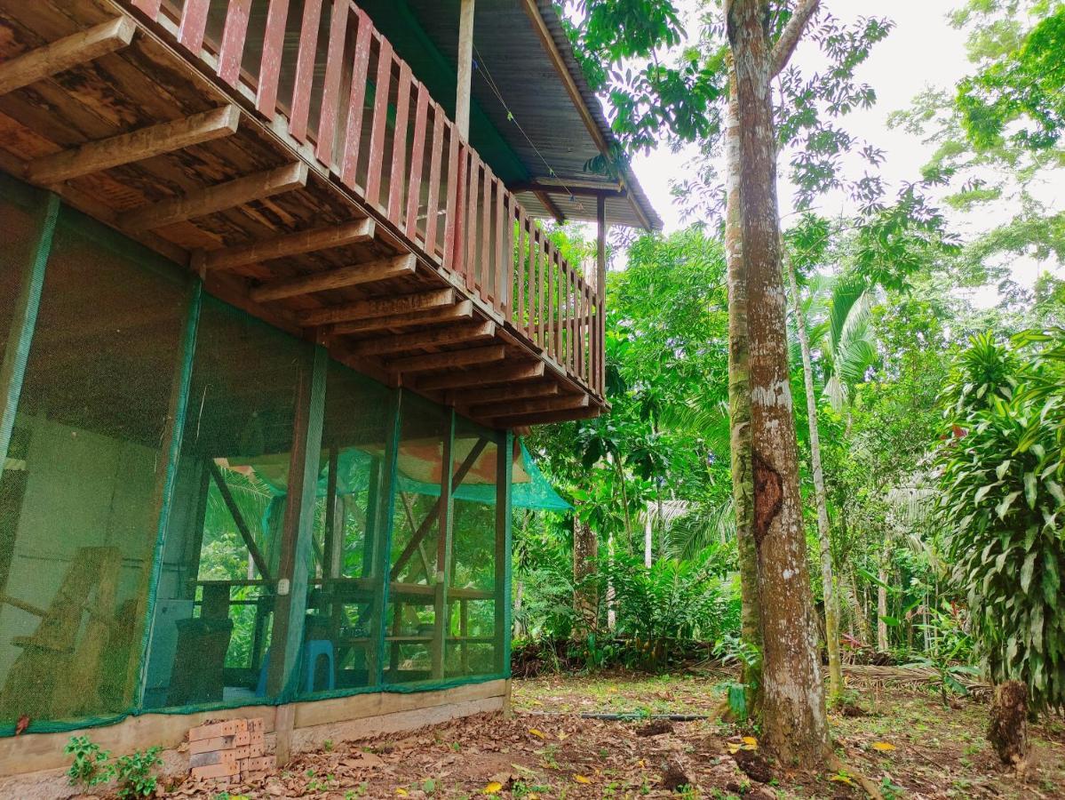 K'Erenda Homet Reserva Natural Puerto Maldonado Zewnętrze zdjęcie