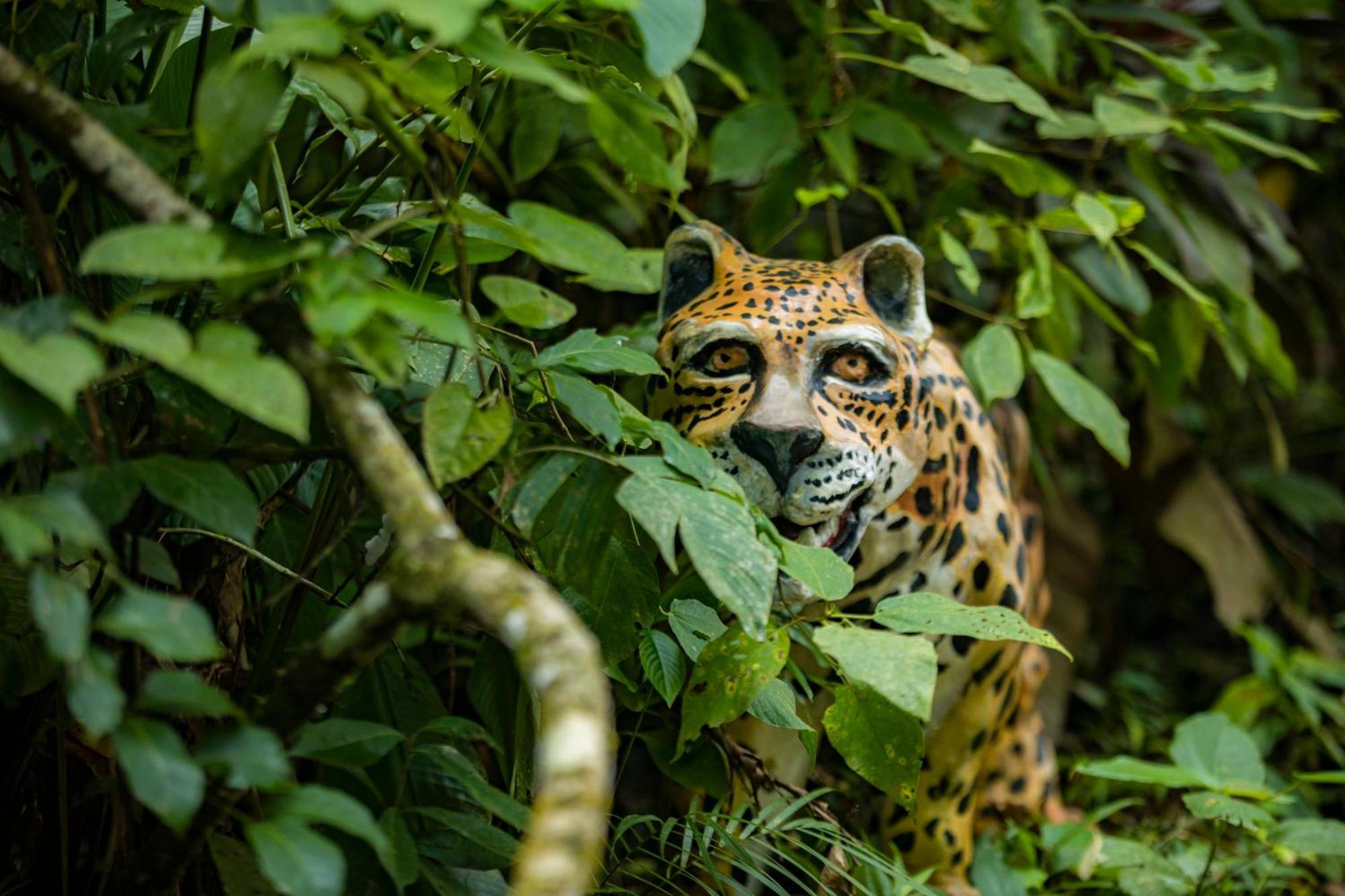 K'Erenda Homet Reserva Natural Puerto Maldonado Zewnętrze zdjęcie