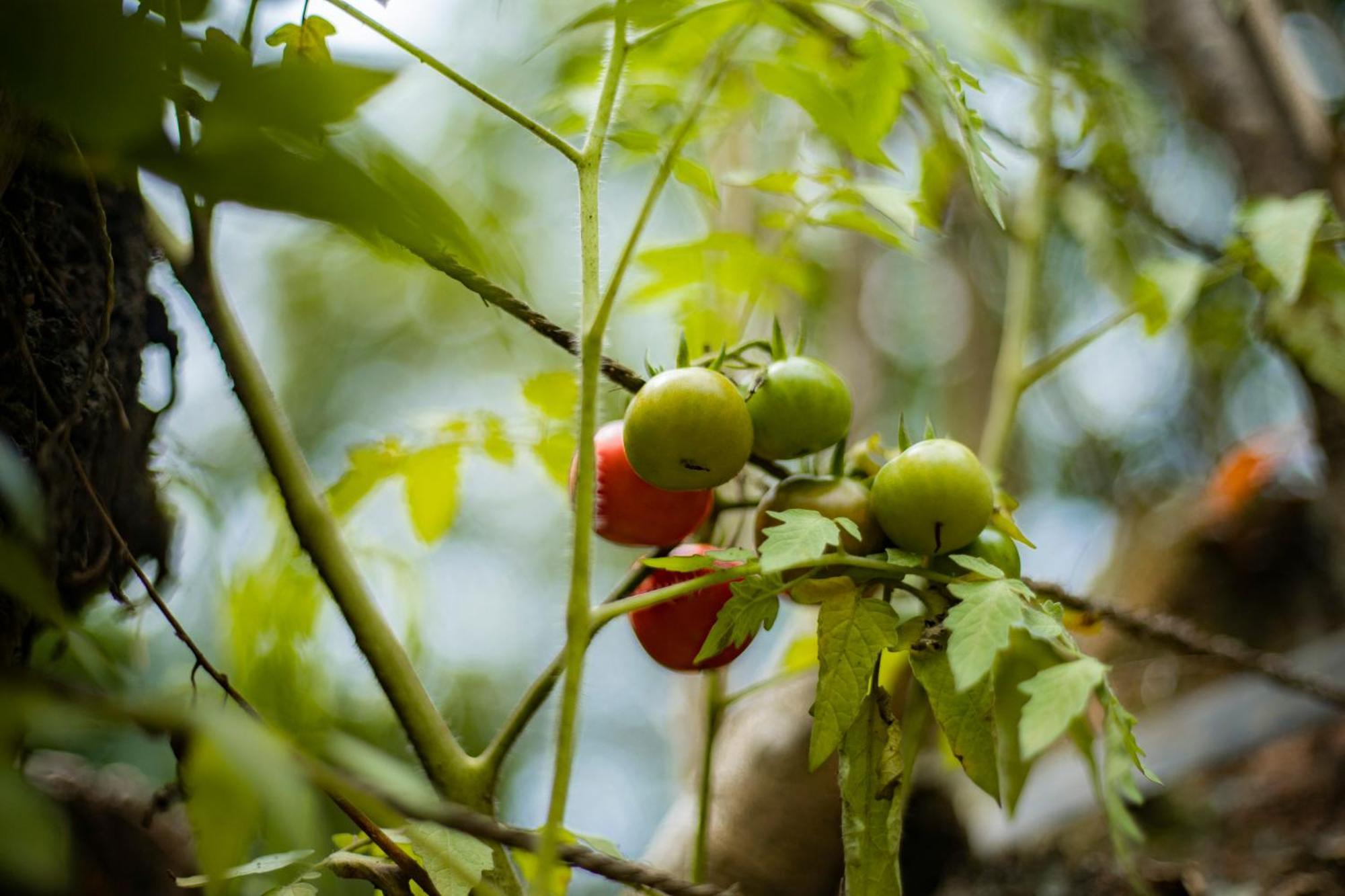 K'Erenda Homet Reserva Natural Puerto Maldonado Zewnętrze zdjęcie