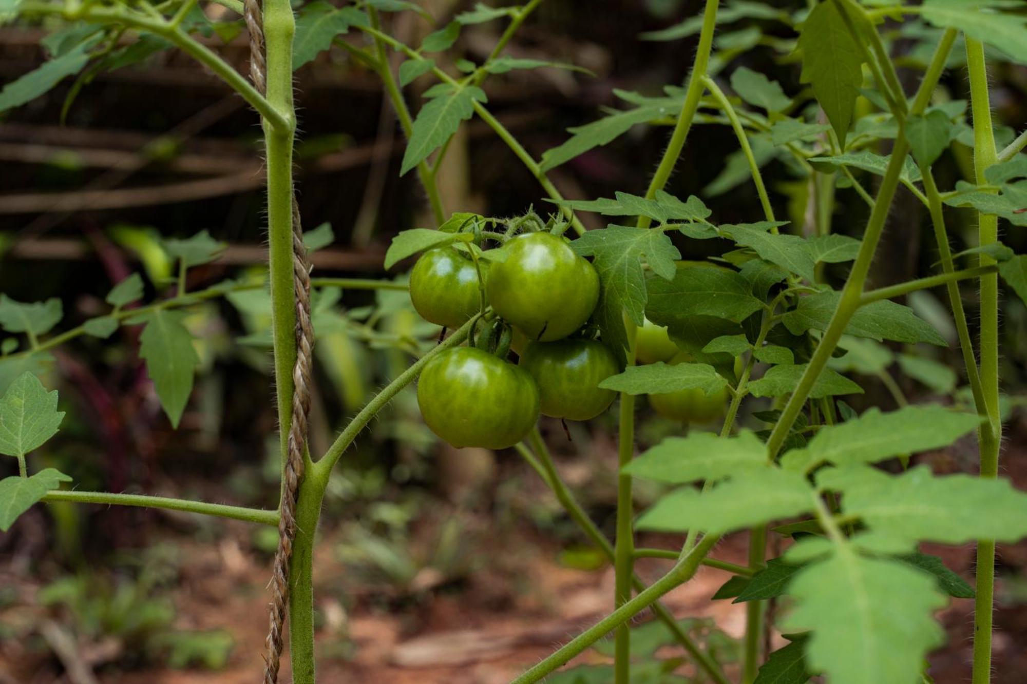 K'Erenda Homet Reserva Natural Puerto Maldonado Zewnętrze zdjęcie