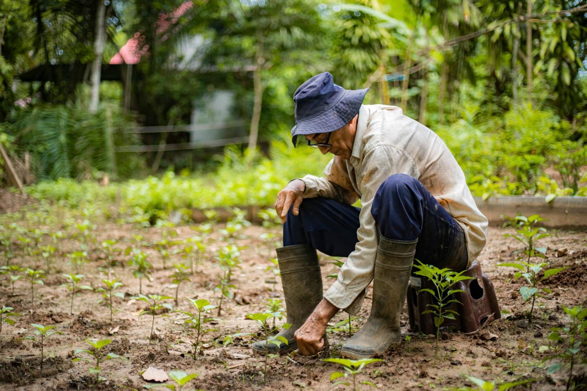 K'Erenda Homet Reserva Natural Puerto Maldonado Zewnętrze zdjęcie