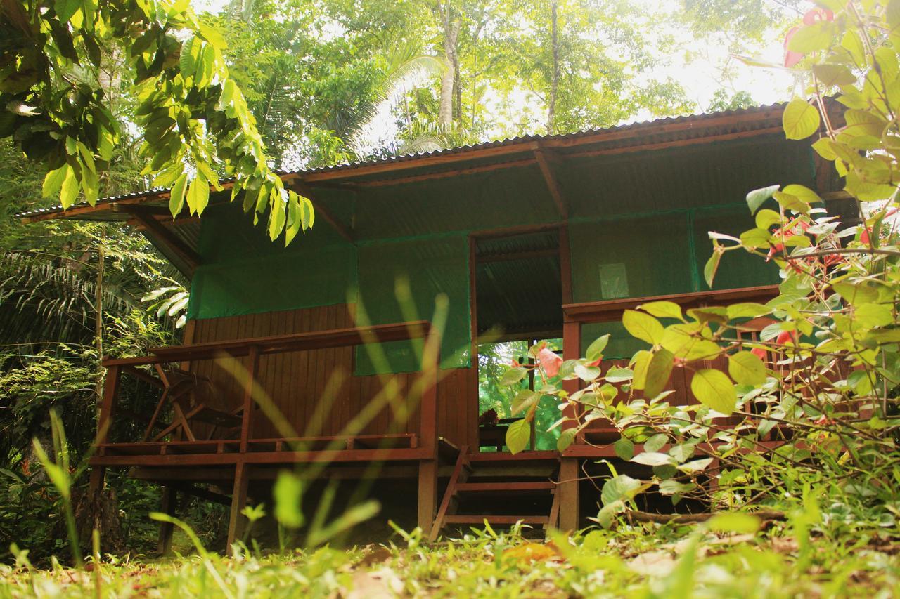 K'Erenda Homet Reserva Natural Puerto Maldonado Zewnętrze zdjęcie