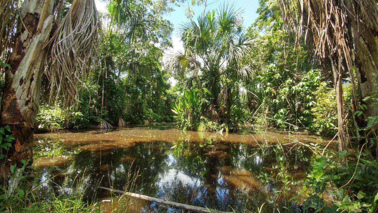 K'Erenda Homet Reserva Natural Puerto Maldonado Zewnętrze zdjęcie